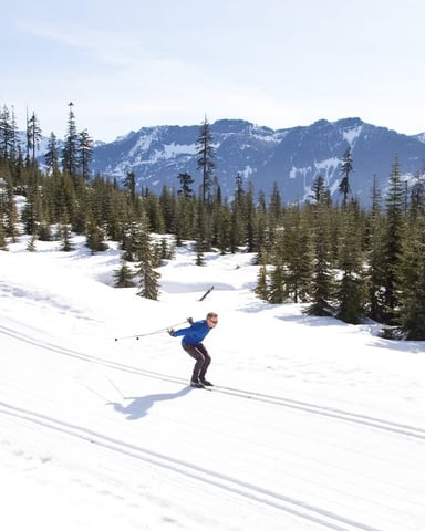 Two cross-country skiers on snowy meadow with coniferous forest and snow-capped mountains in background