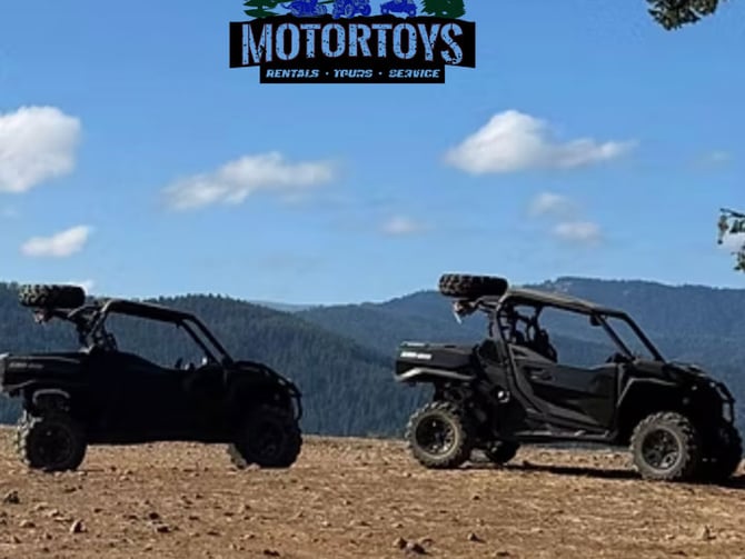 Motor Toys